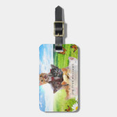 Funny Kittens auf grünem Feld. Gepäckanhänger (Vorderseite vertikal)