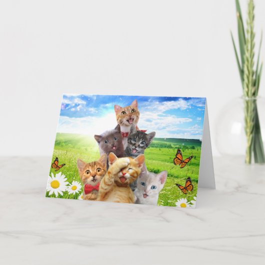 Funny Kittens auf grünem Feld. Karte (Vorderseite)