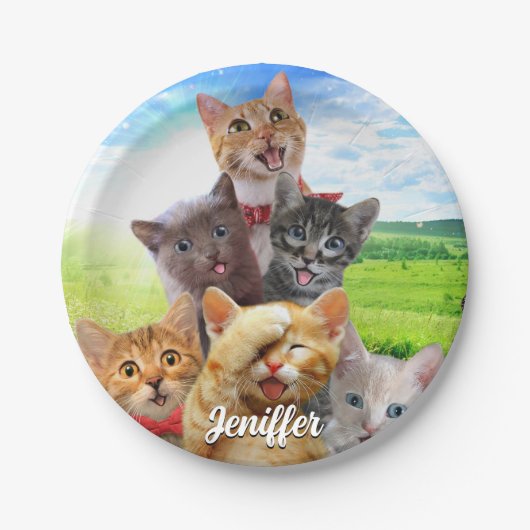 Funny Kittens auf grünem Feld. Pappteller (Vorderseite)