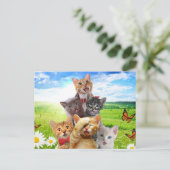 Funny Kittens auf grünem Feld. Postkarte (Stehend Vorderseite)