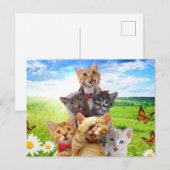 Funny Kittens auf grünem Feld. Postkarte (Vorne/Hinten)