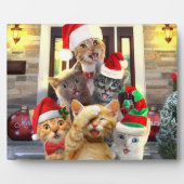 Funny kittens in Christmas Day Fotoplatte (Vorderseite)