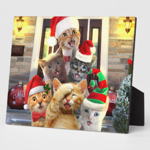 Funny kittens in Christmas Day Fotoplatte