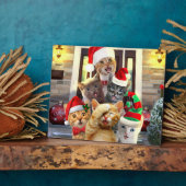 Funny kittens in Christmas Day Fotoplatte (Seite)