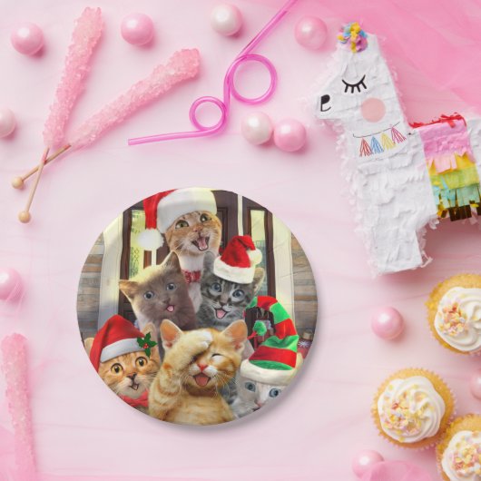 Funny kittens in Christmas Day Pappteller (Party)
