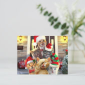 Funny kittens in Christmas Day Postkarte (Stehend Vorderseite)
