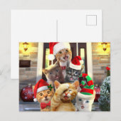 Funny kittens in Christmas Day Postkarte (Vorne/Hinten)