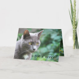 Funny Kitty Cat Karte