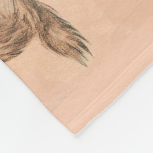 FUNNY KITTY CAT STORIES IN PINK FLEECEDECKE (Ecke)