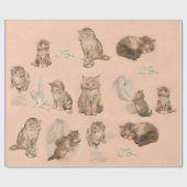 FUNNY KITTY CAT STORIES IN PINK GESCHENKPAPIER (Flach)