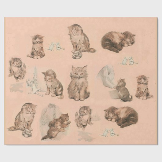 FUNNY KITTY CAT STORIES IN PINK GESCHENKPAPIER (Flach)