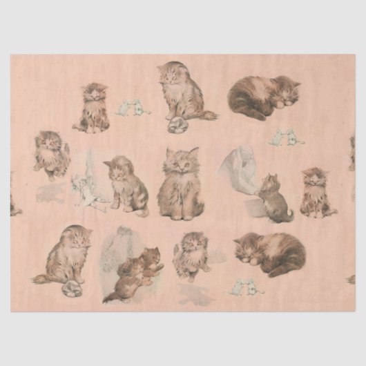 FUNNY KITTY CAT STORIES IN PINK SEIDENPAPIER (Vorderseite)