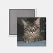Funny Kitty sagt: "Oh, wirklich?" Magnet (Vorderseite/Rückseite)