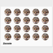 Funny Kitty Stickers (Blatt)