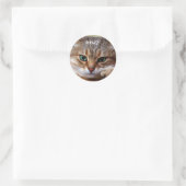 Funny Kitty Stickers (Tasche)