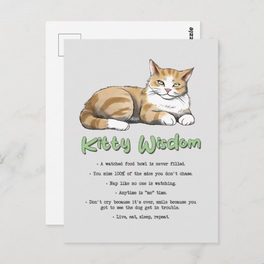 Funny Kitty Wisdom Postkarte (Vorne/Hinten)