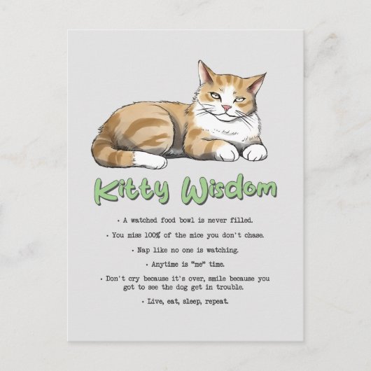 Funny Kitty Wisdom Postkarte (Vorderseite)