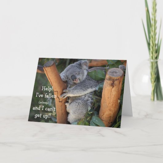 Funny Koala Bear, Belated Birthday Card Karte (Vorderseite)