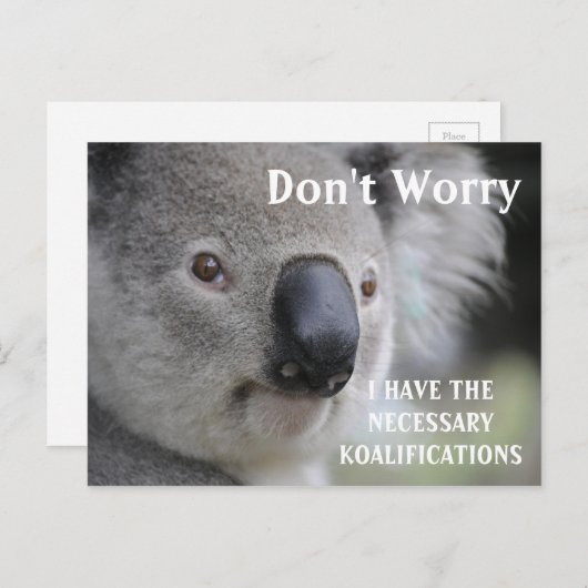 Funny Koala koalifications meme Postkarte (Vorne/Hinten)