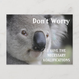 Funny Koala koalifications meme Postkarte