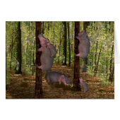 Funny Koala-Wannabe Hippos (Vorderseite (Horizontal))