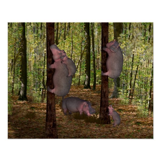 Funny Koala-Wannabe Hippos Poster (Vorderseite)