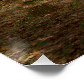 Funny Koala-Wannabe Hippos Poster (Ecke)