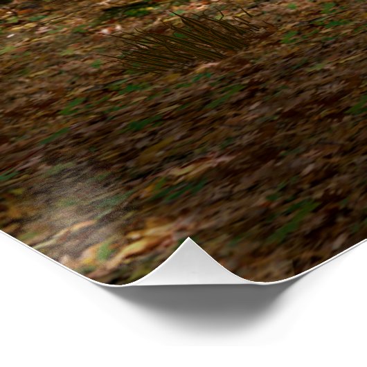 Funny Koala-Wannabe Hippos Poster (Ecke)