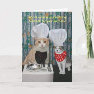Funny Koch Cats Geburtstag Karte