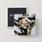 Funny konfrontiert reticulated Giraffe, San Franci Button (Vorne & Hinten)