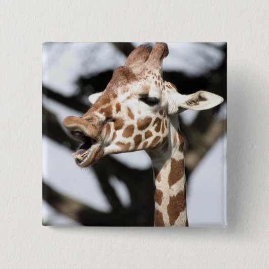 Funny konfrontiert reticulated Giraffe, San Franci Button (Vorderseite)