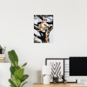 Funny konfrontiert reticulated Giraffe, San Franci Poster (Heimbüro)