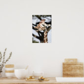 Funny konfrontiert reticulated Giraffe, San Franci Poster (Küche)