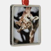 Funny konfrontiert reticulated Giraffe, San Franci Silbernes Ornament (Rechts)