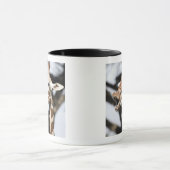 Funny konfrontiert reticulated Giraffe, San Franci Tasse (Zentrum)