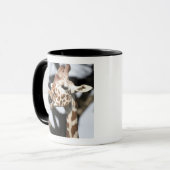 Funny konfrontiert reticulated Giraffe, San Franci Tasse (Vorderseite Links)