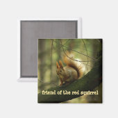 Funny Krass Eichhörnchen/Friend of the Red Squirre Magnet (Vorderseite/Rückseite)