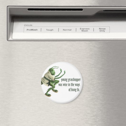 Funny Kung Fu Grasshopper Magnet (In Situ (Geschirrspüler))