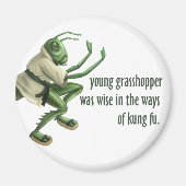 Funny Kung Fu Grasshopper Magnet (Vorne)