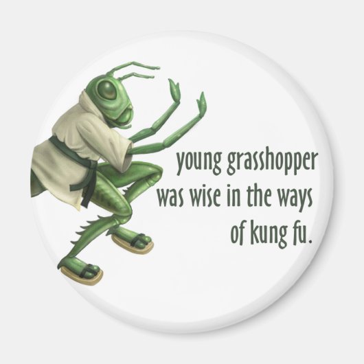 Funny Kung Fu Grasshopper Magnet (Vorne)
