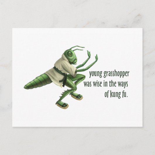 Funny Kung Fu Grasshopper Postkarte (Vorderseite)