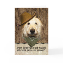 Funny Labradoodle in Cowboy Hat Bandana wird gut
