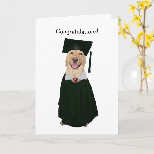 Funny Labrador Abschluss Karte (Gelbe Blume)