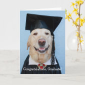 Funny Labrador Abschluss Karte (Gelbe Blume)