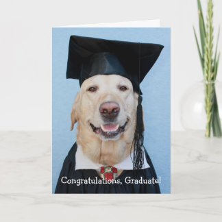 Funny Labrador Abschluss Karte