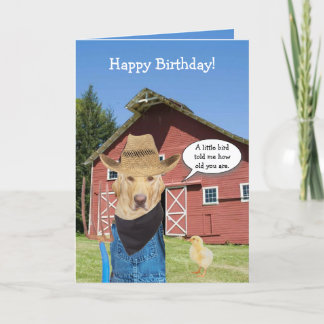 Funny Labrador Bauer Geburtstag Karte