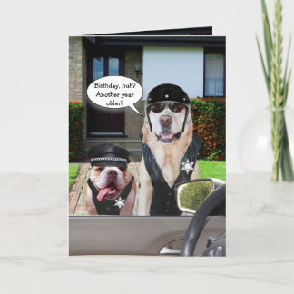 Funny Labrador & Bull Dog Officers Geburtstag Karte