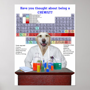Funny Labrador Chemistry Poster für Lehrer