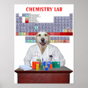 Funny Labrador Chemistry Poster für Lehrer