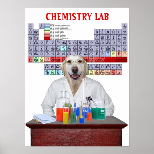 Funny Labrador Chemistry Poster für Lehrer (Vorne)